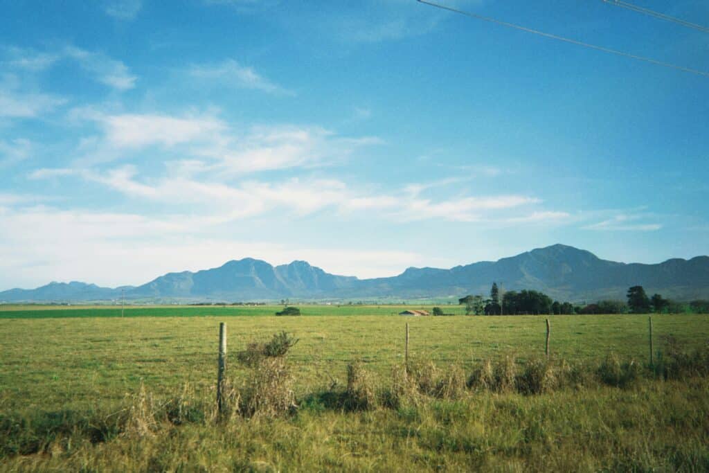 George Roberts - Justin Sather, Los Angeles